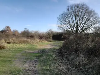 De Panne (België)